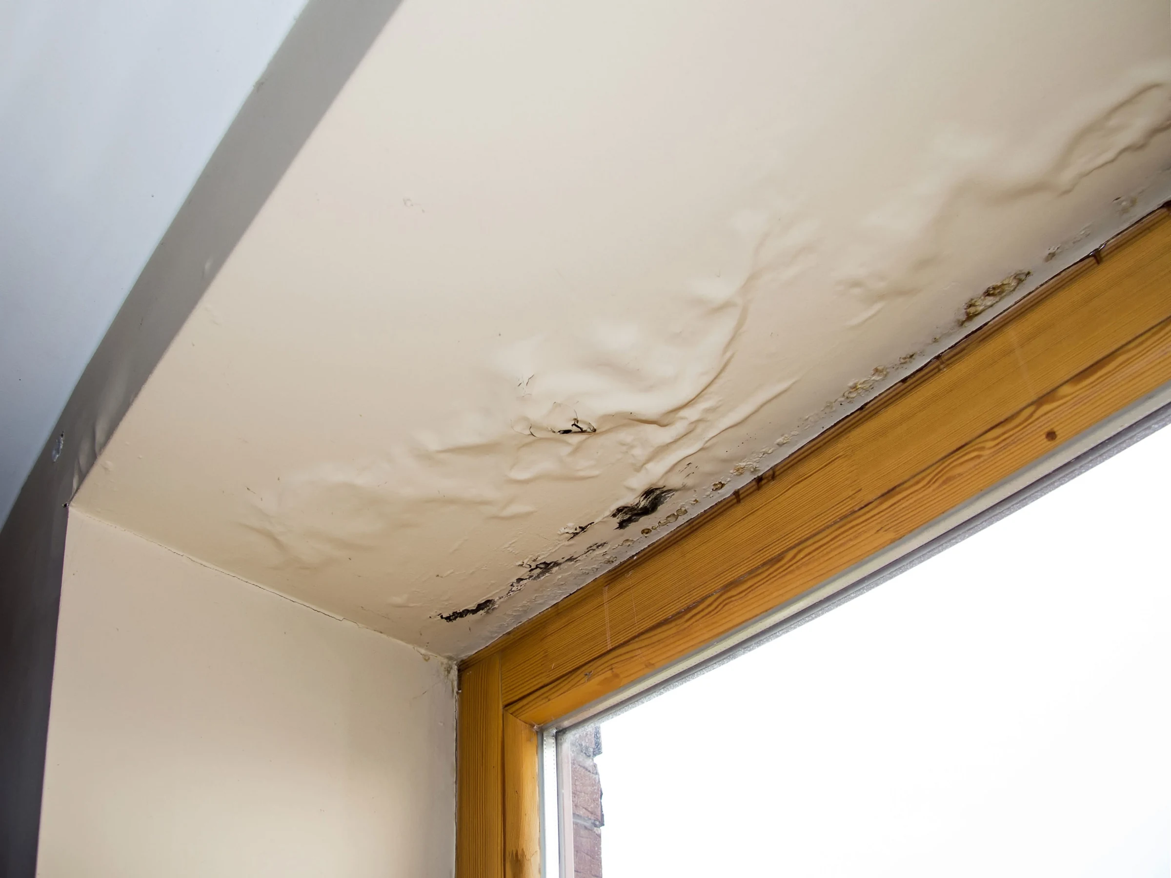Commercial roof leak repair in Columbus, Georgia